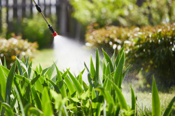 Tamper-Resistant Bait Stations for Rodents in Yaphank