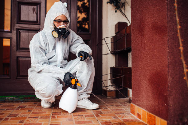 Attic and Crawl Space Rodent Treatment in Yaphank