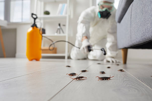 Commercial Rodent Management in Yaphank